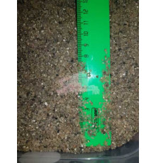 Кварцевый песок сухой крупнозернистый фр. от 2,5 мм (Биг-бэг 1,75 т.)